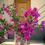 Baglio Colonna - Nature Noble Boutique 公寓